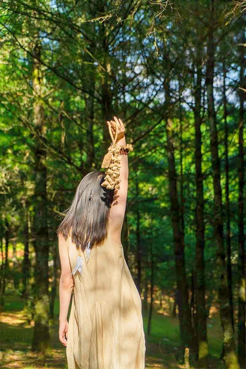 Chacha Oleander Seed Shaker | Hand Bell - Collective Awakening