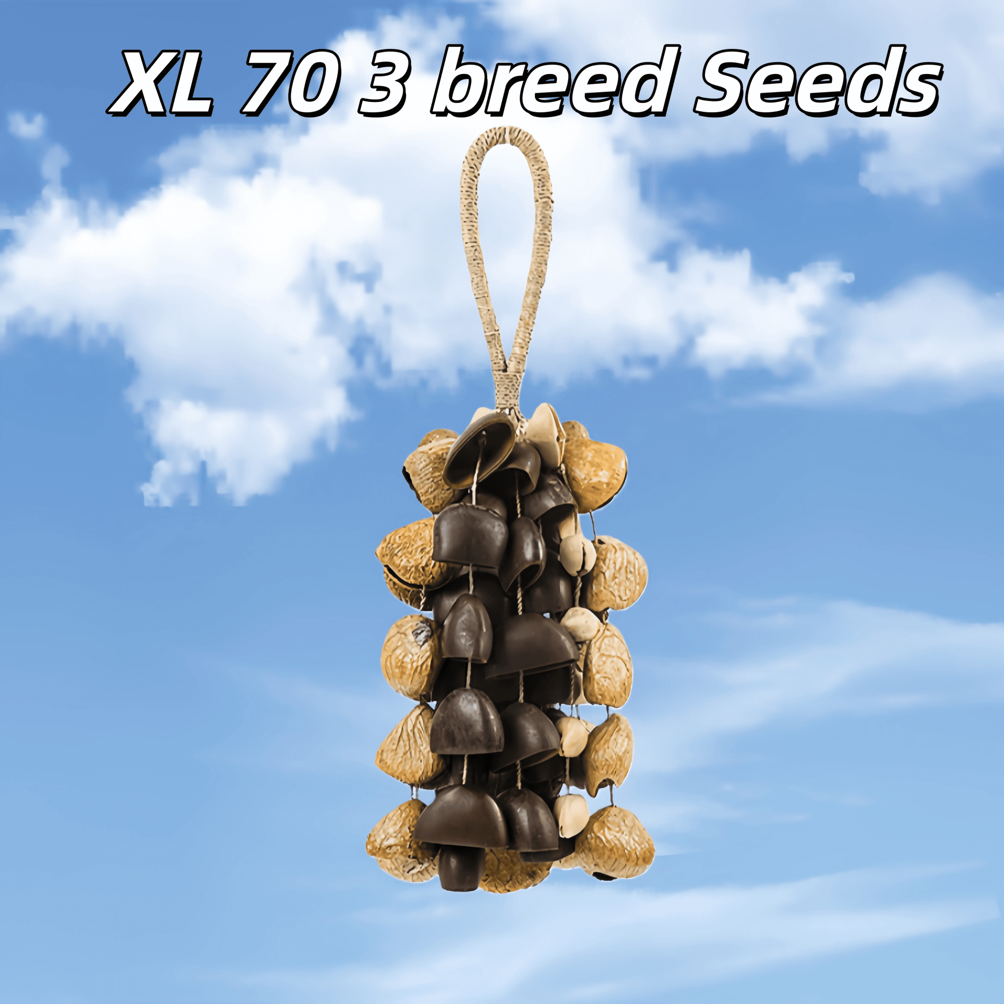 Handmade Mixed Seed Shaker | Hand Bell - Collective Awakening