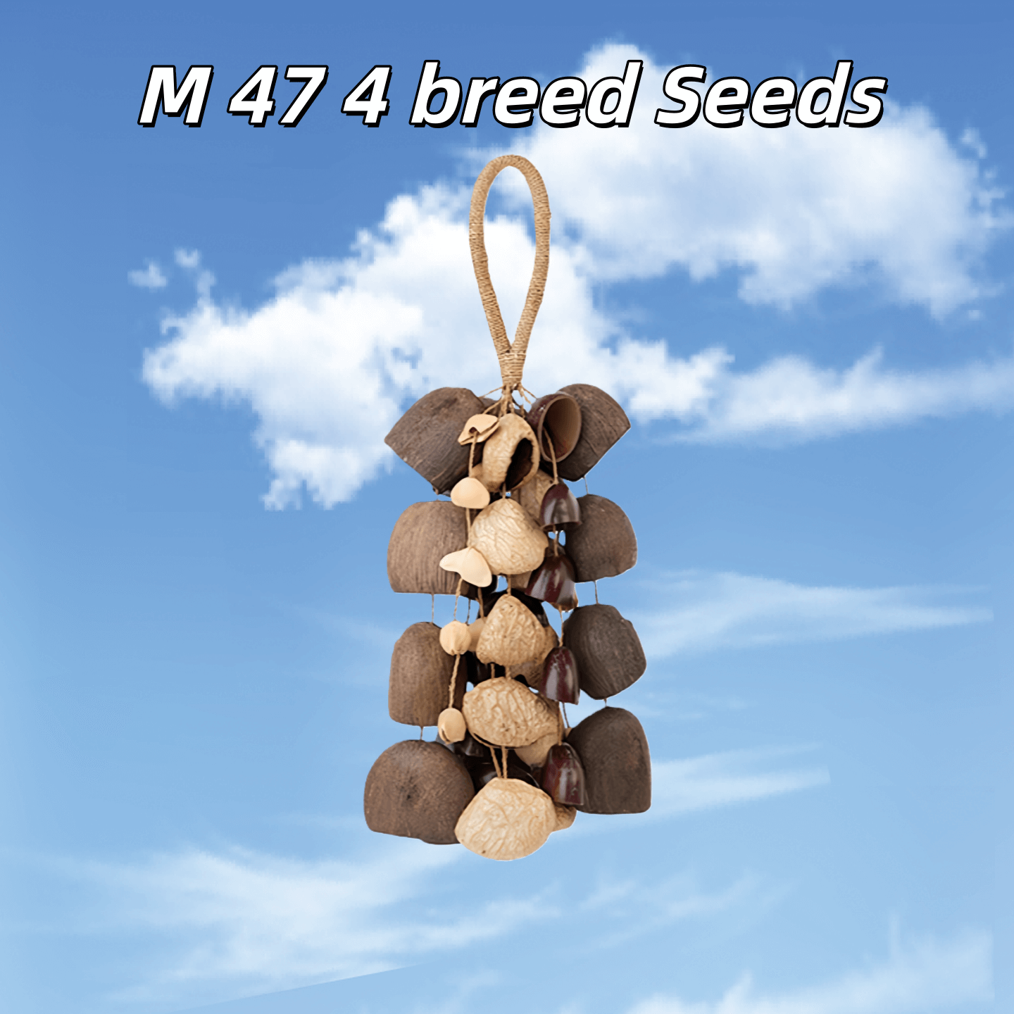 Handmade Mixed Seed Shaker | Hand Bell - Collective Awakening