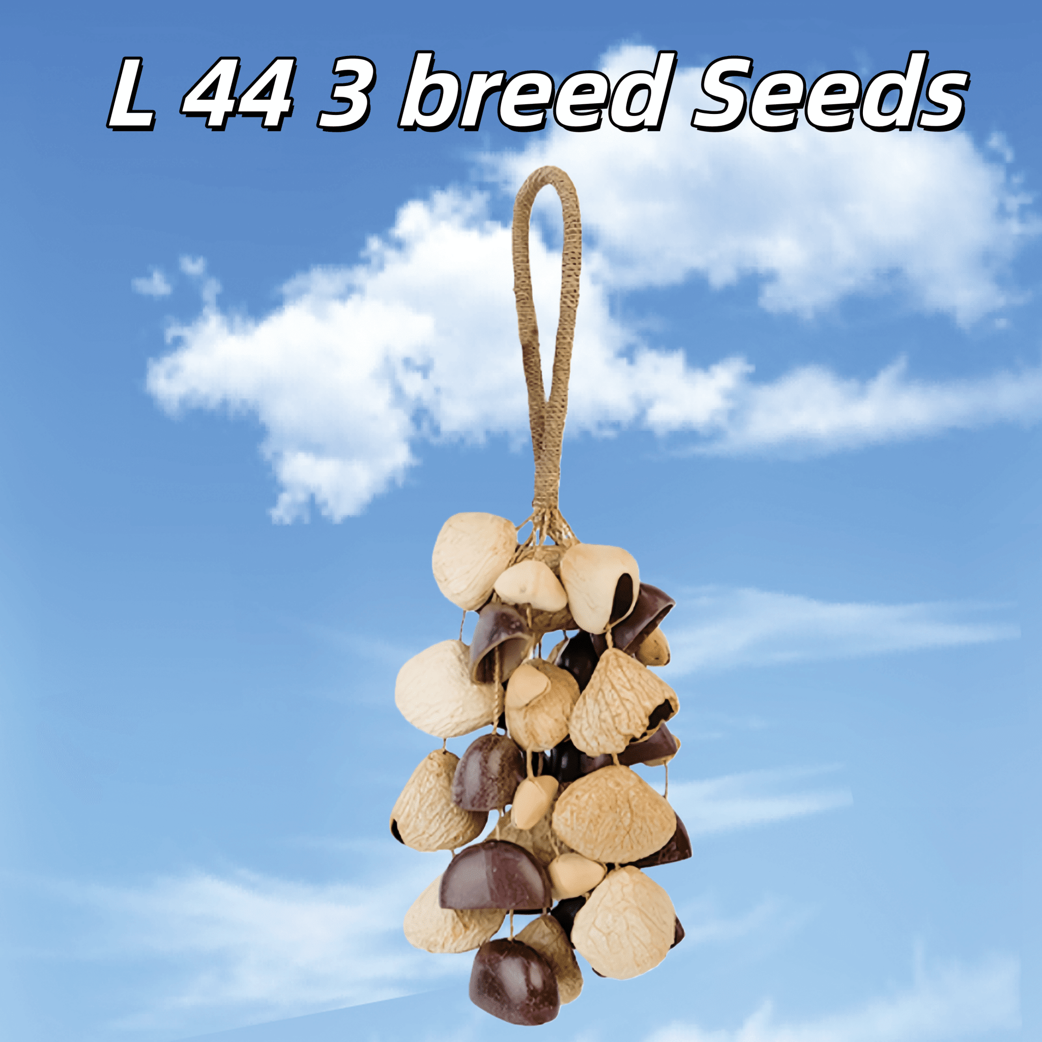 Handmade Mixed Seed Shaker | Hand Bell - Collective Awakening