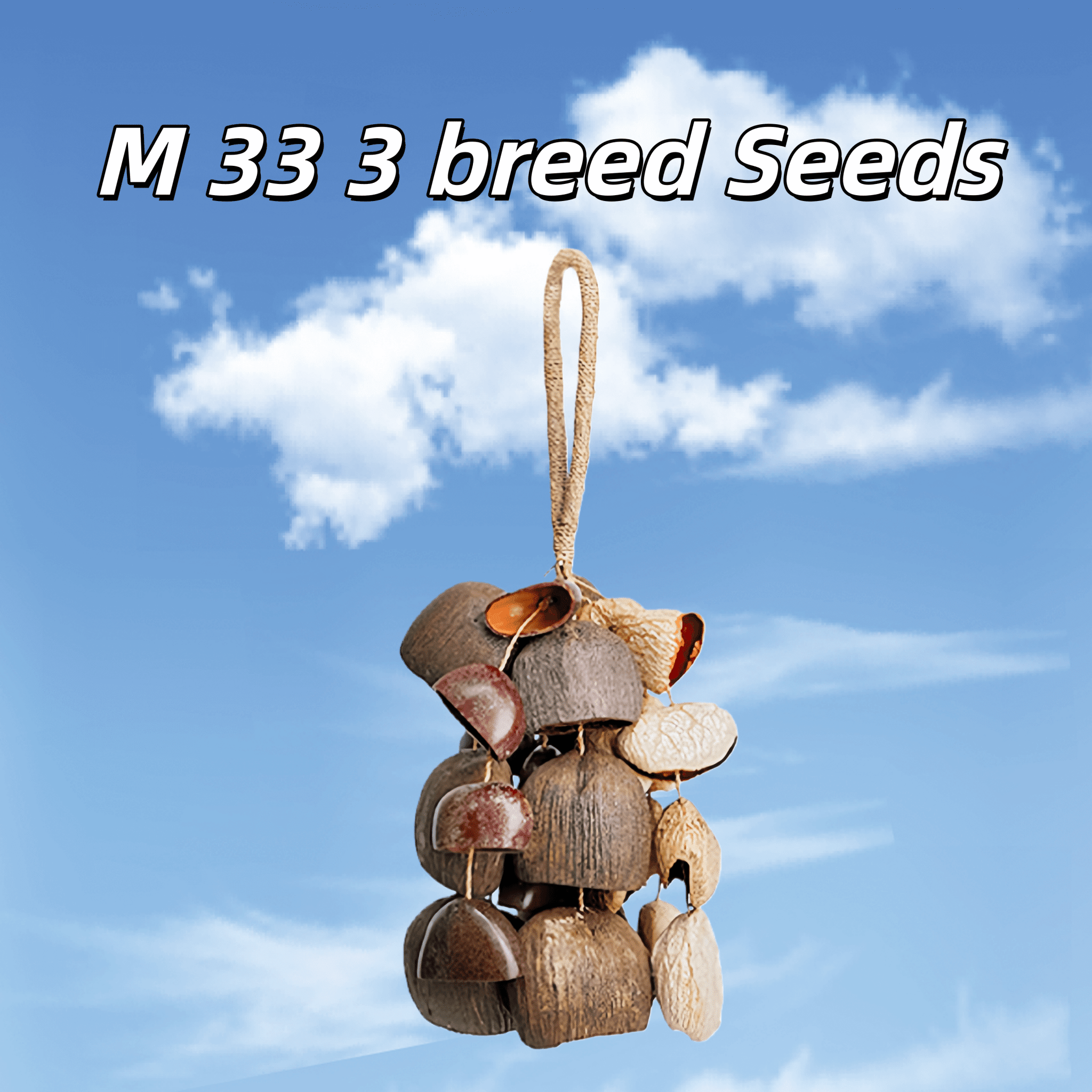 Handmade Mixed Seed Shaker | Hand Bell - Collective Awakening
