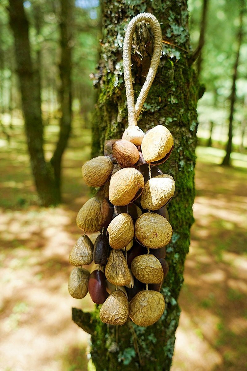 Handmade Mixed Seed Shaker | Hand Bell - Collective Awakening