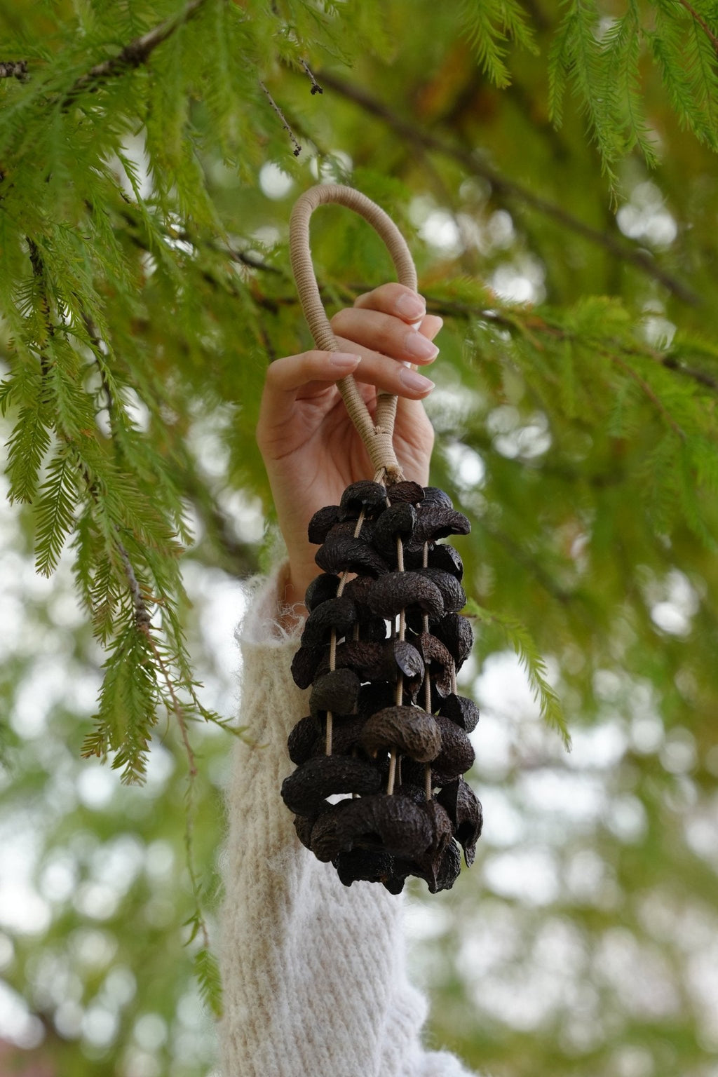 Seed Shaker | Handmade Moonin Seed Shell Hand Bell - Natural Rainforest Decor - Collective Awakening