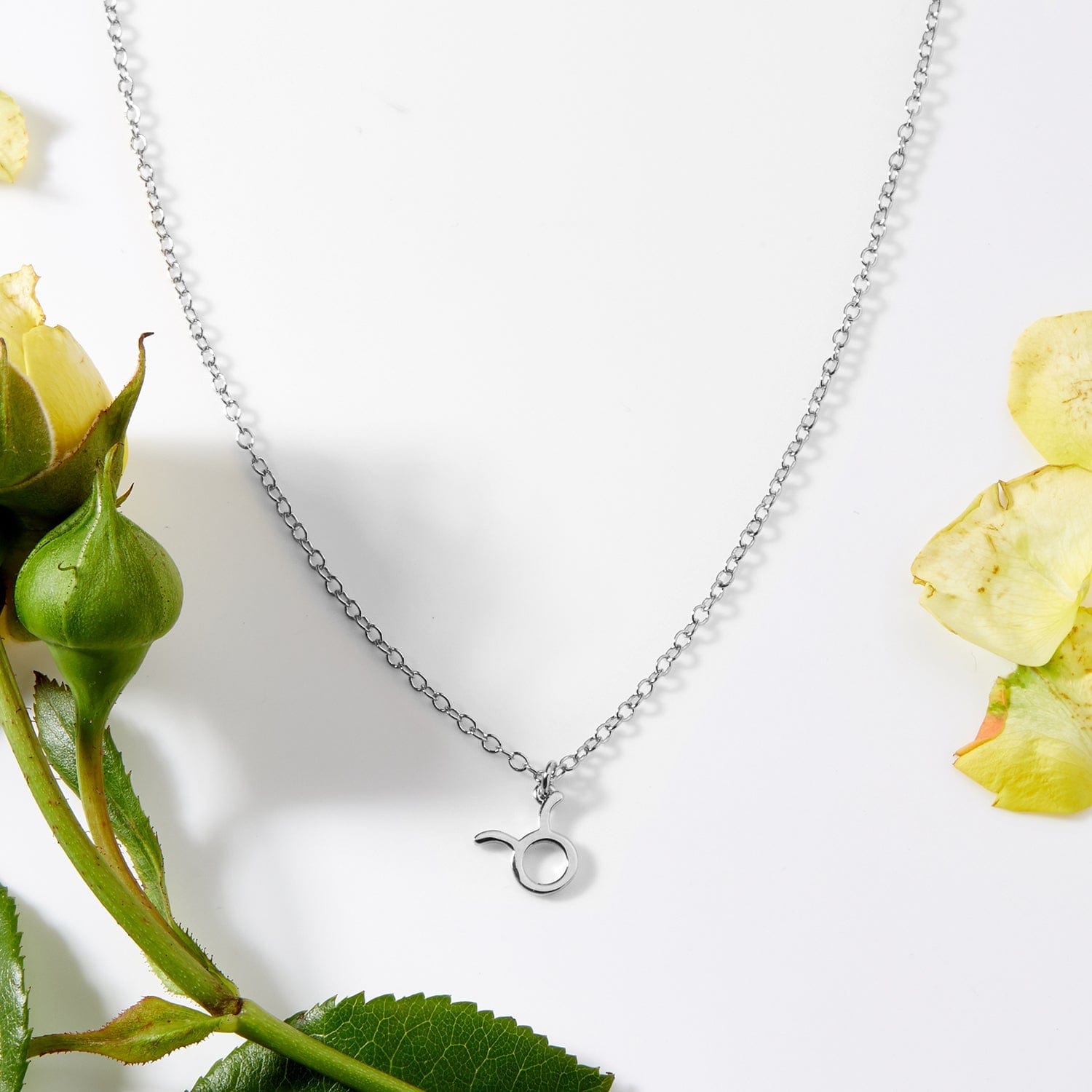 Taurus Zodiac Gift Necklace - Collective Awakening