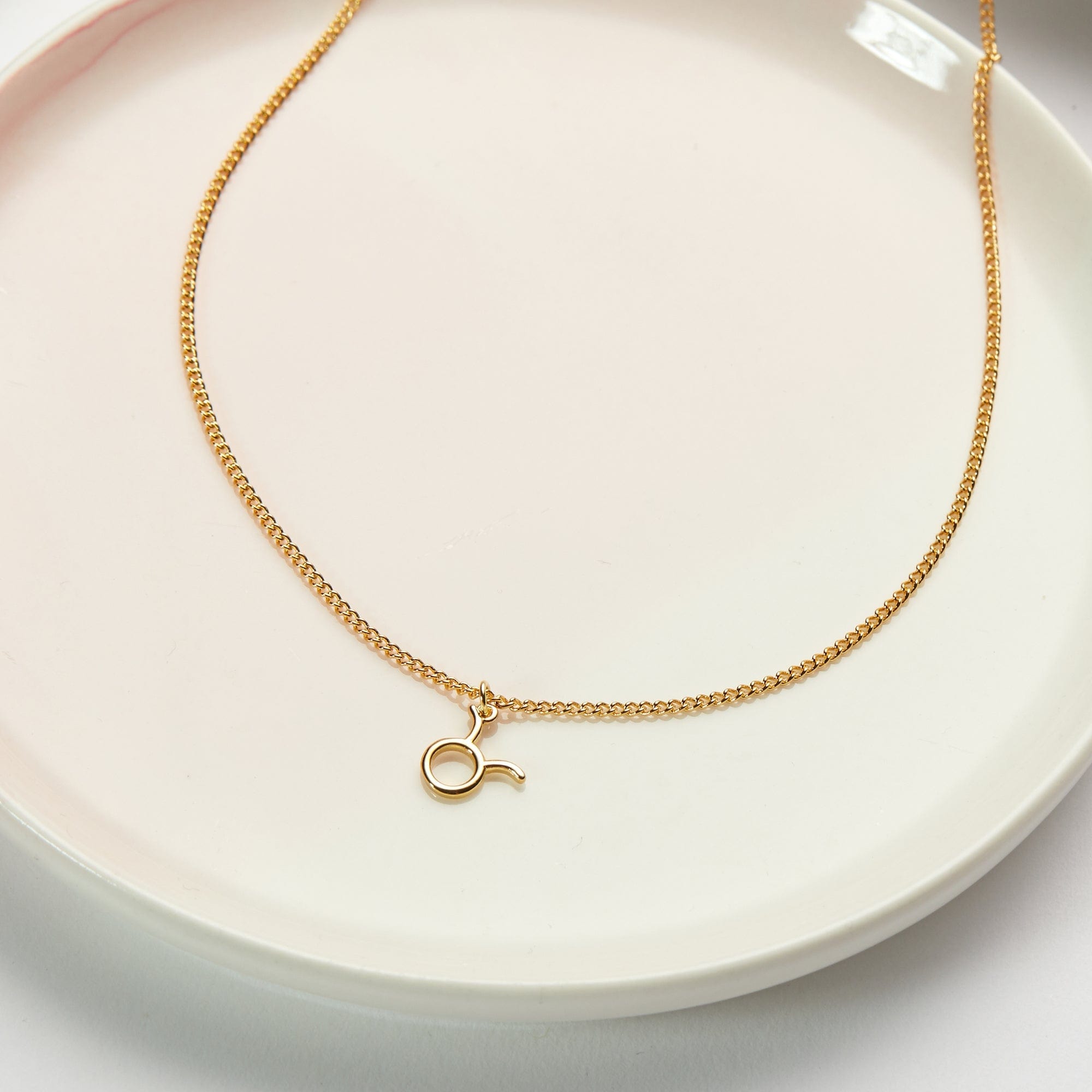 Taurus Zodiac Gift Necklace - Collective Awakening