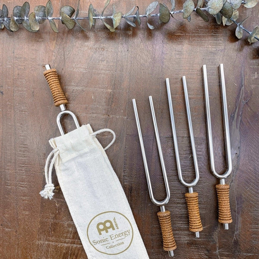 7 Chakra Healing Tuning Fork Set with Travel Case - Collective Awakening