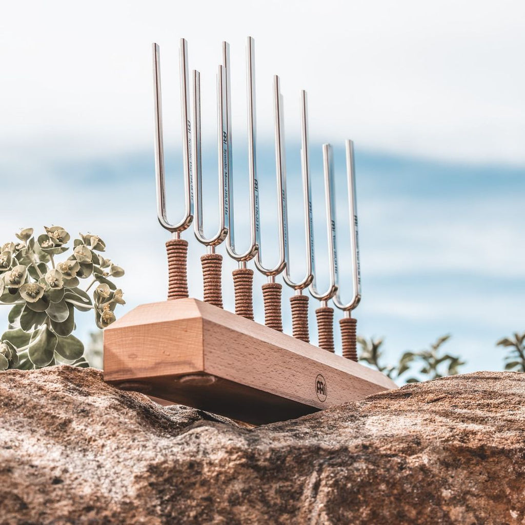 7 Chakra Healing Tuning Fork Set - Collective Awakening