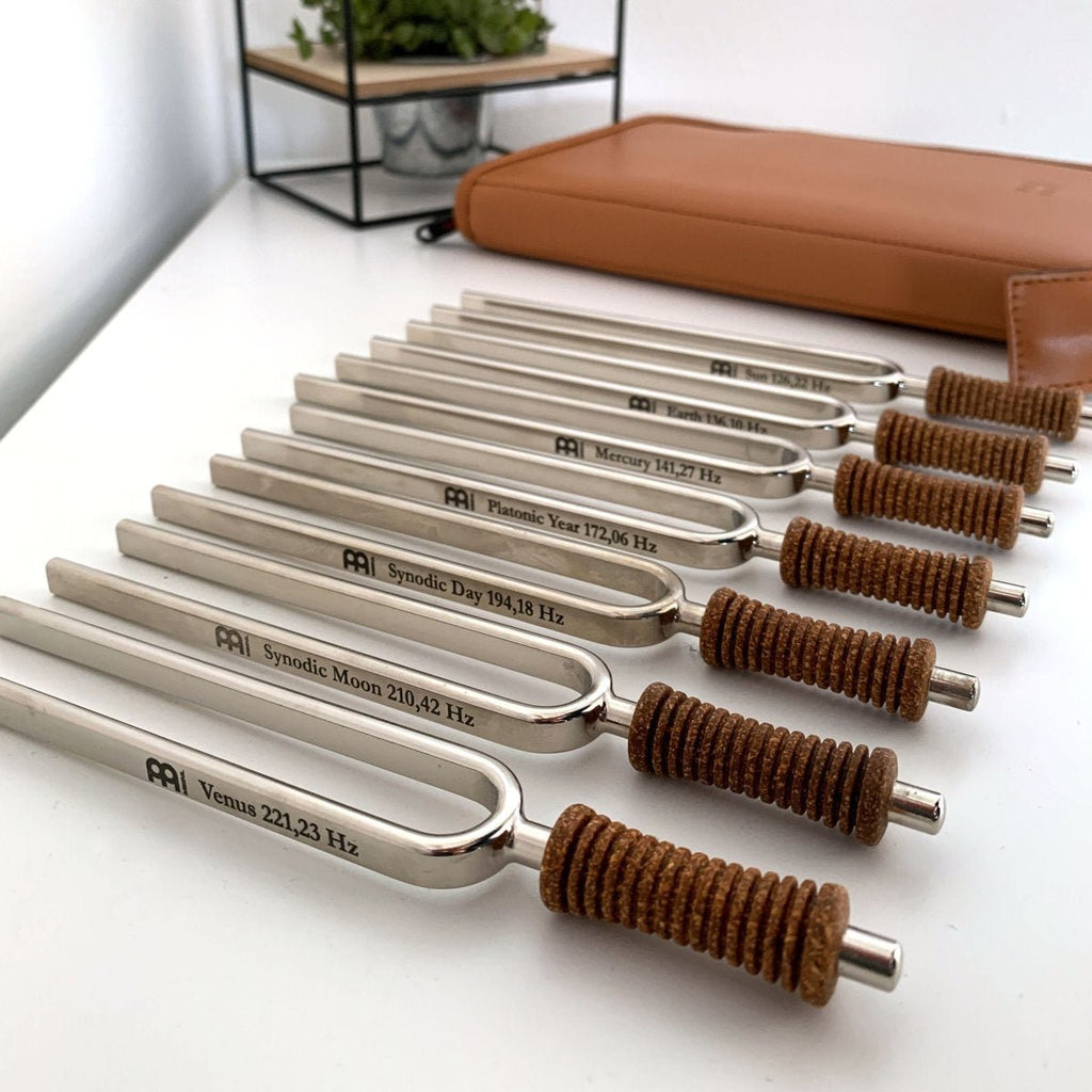 7 Chakra Healing Tuning Fork Set with Travel Case - Collective Awakening