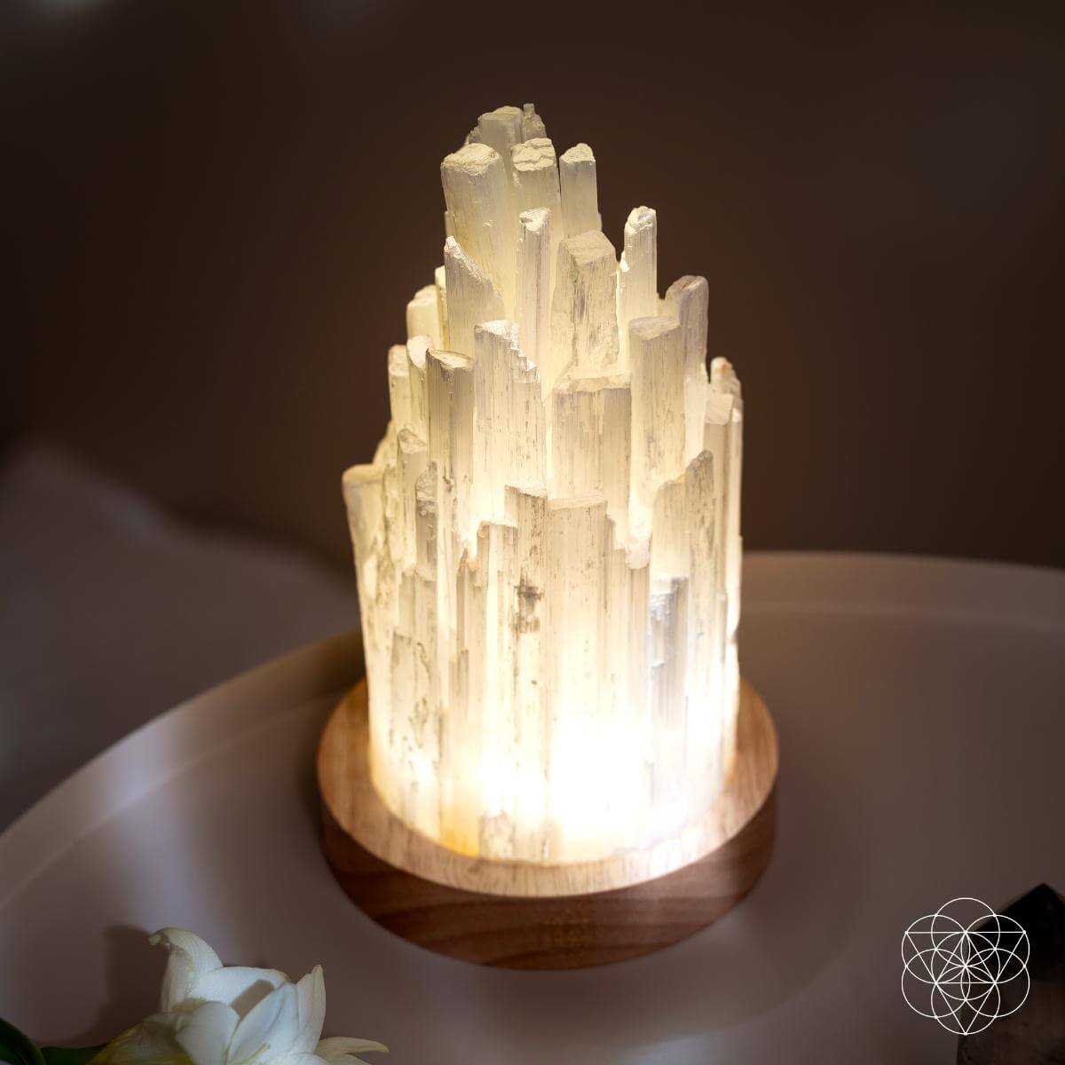 The Cleanse - All Selenite Lamp - 2 Pounds of Healing Power - Collective Awakening