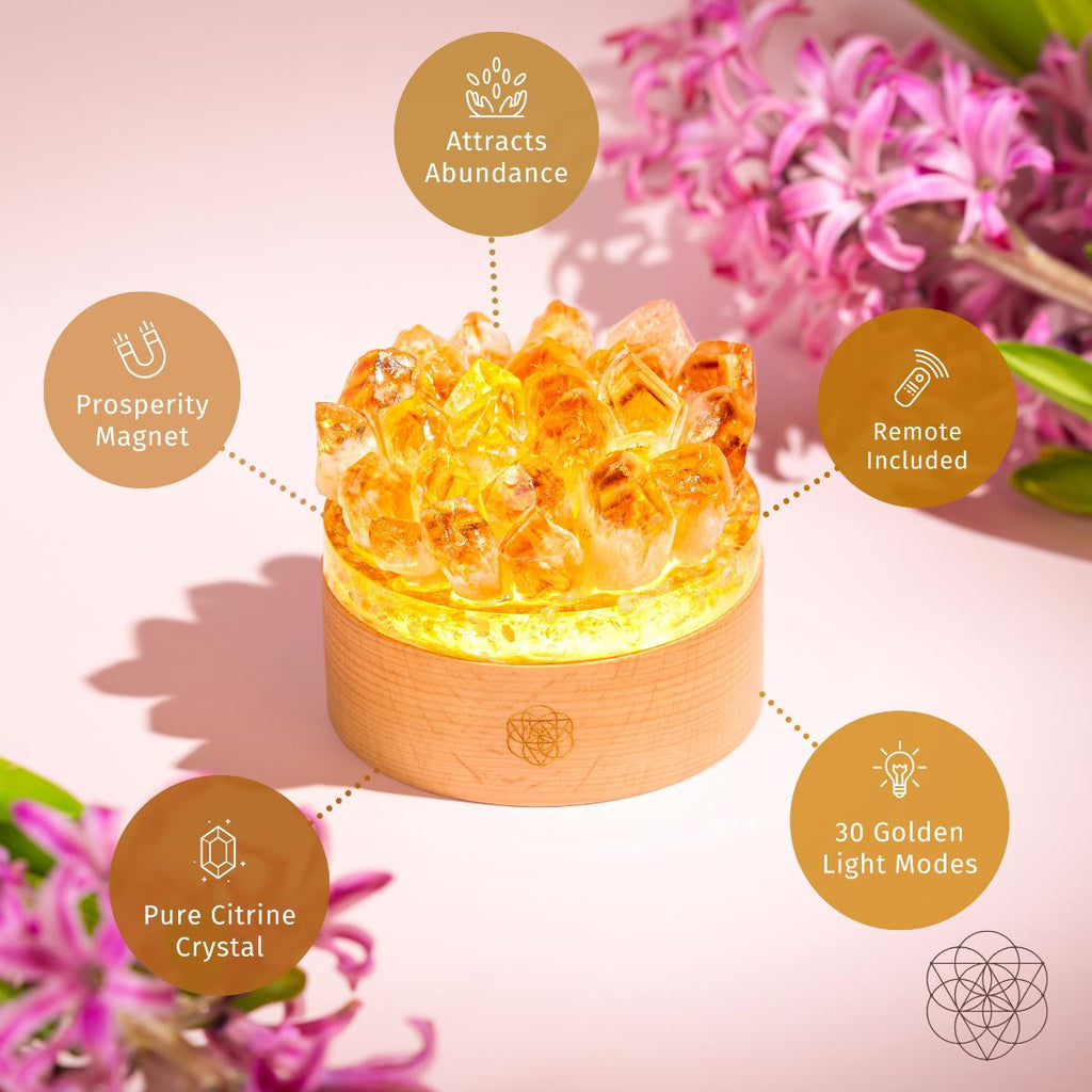Turn My Life to Gold - Midas Citrine Lamp - Collective Awakening