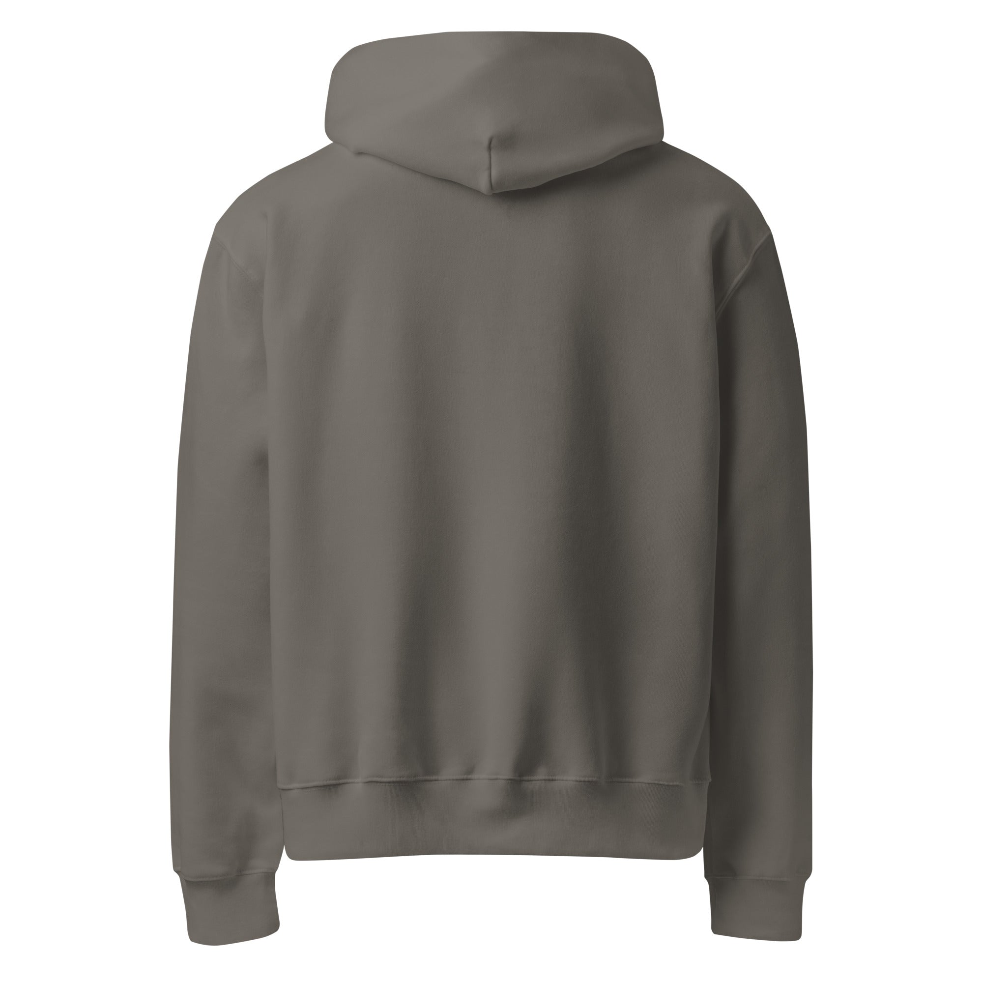 Divine Spiral Oversized Heavyweight Hoodie - Collective Awakening