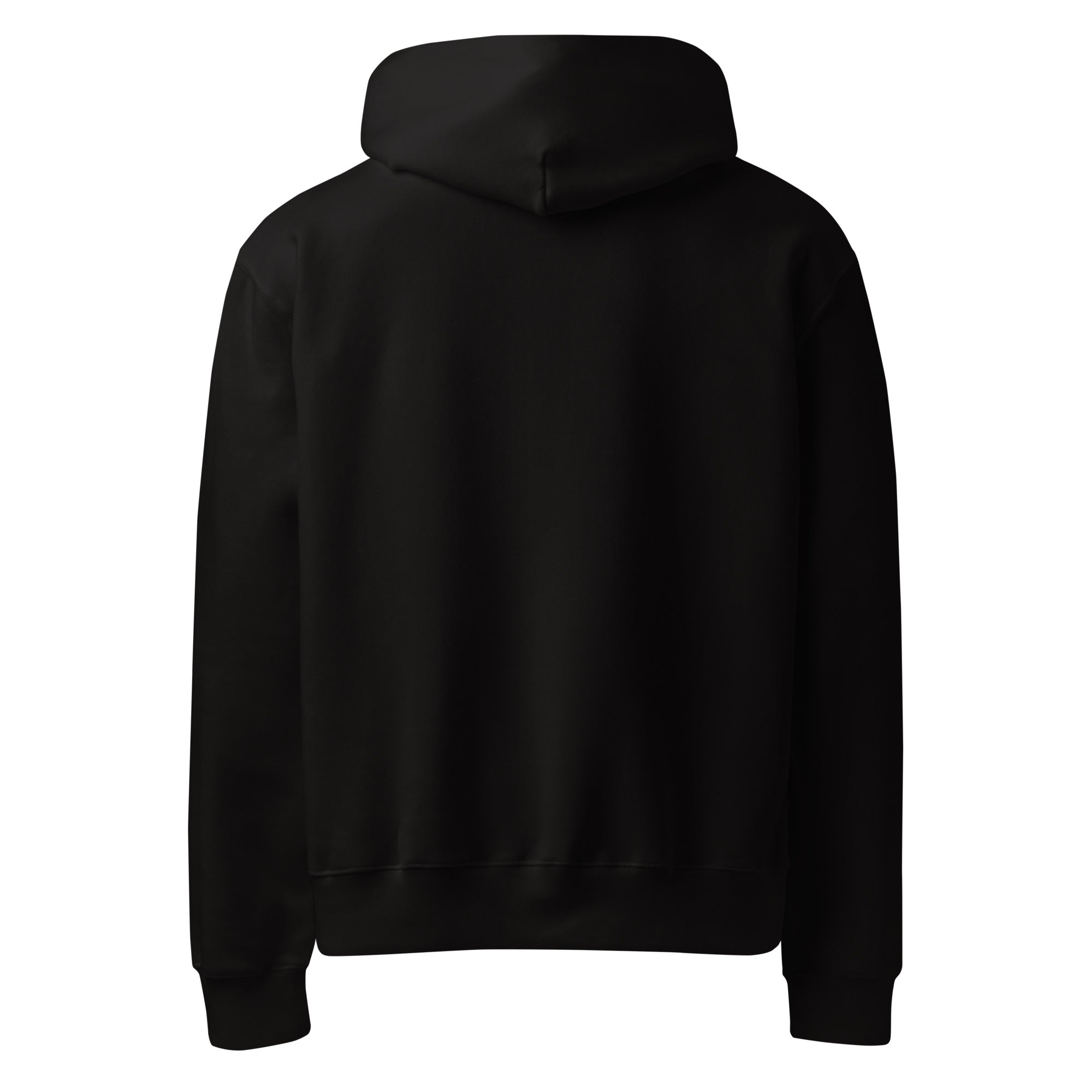 Divine Spiral Oversized Heavyweight Hoodie - Collective Awakening