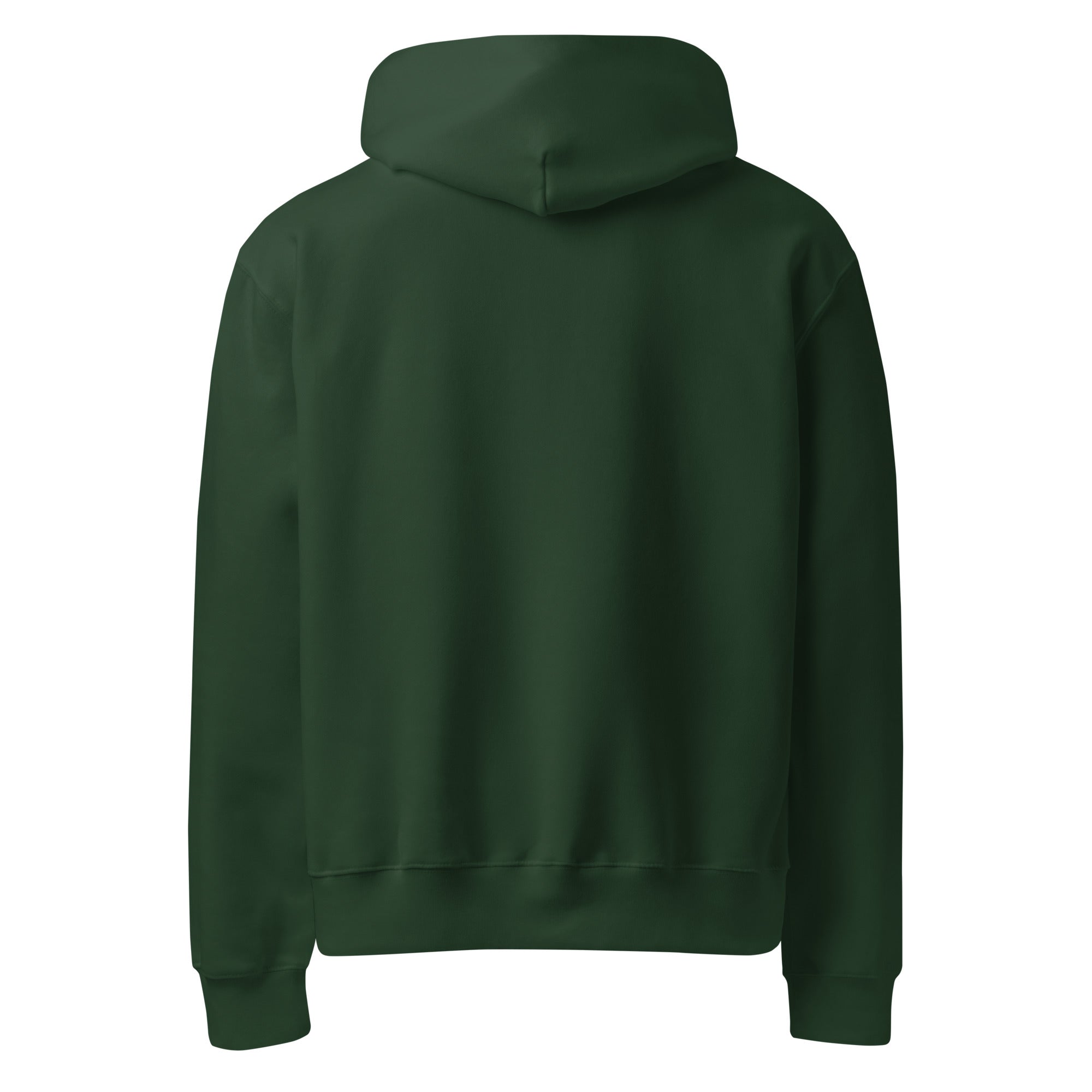 Divine Spiral Oversized Heavyweight Hoodie - Collective Awakening