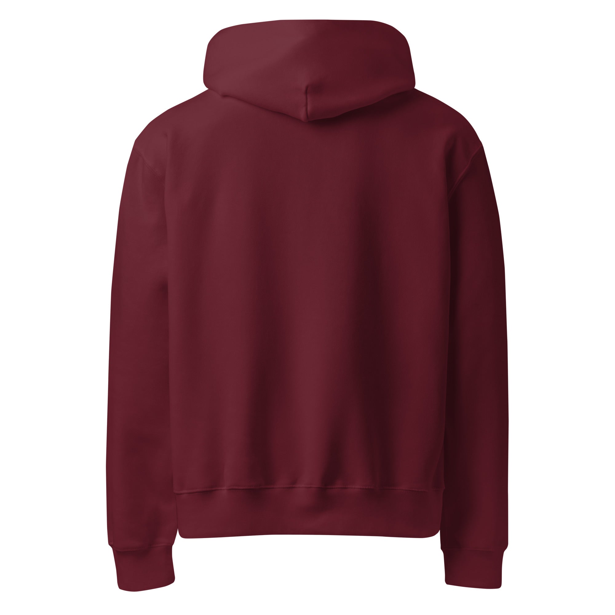 Divine Spiral Oversized Heavyweight Hoodie - Collective Awakening