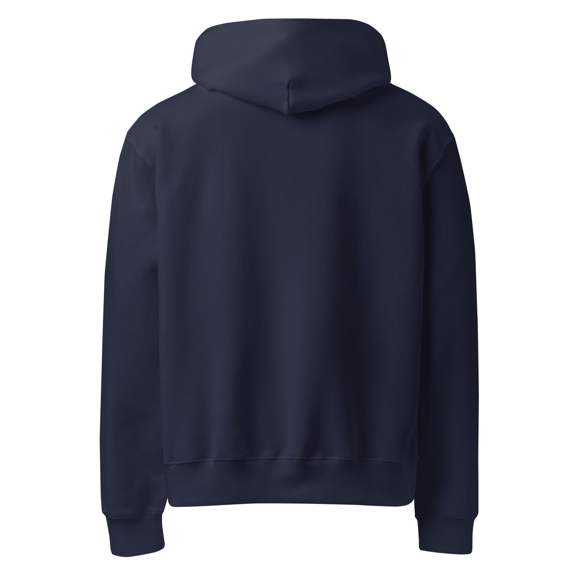 Divine Spiral Oversized Heavyweight Hoodie - Collective Awakening