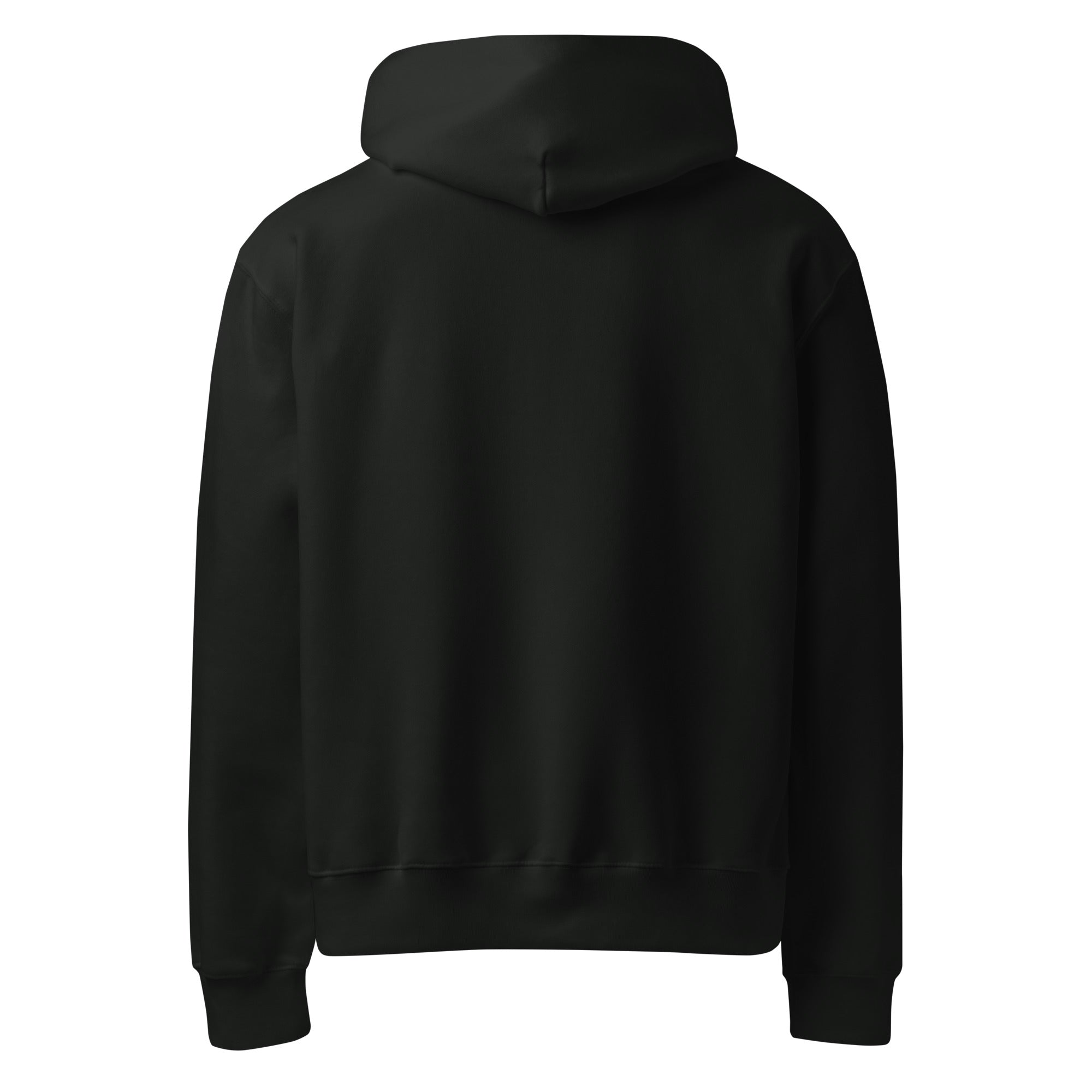 Divine Spiral Oversized Heavyweight Hoodie - Collective Awakening